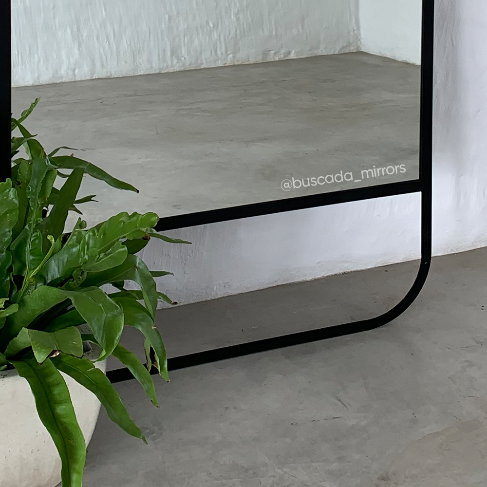 The Evolve Mirror